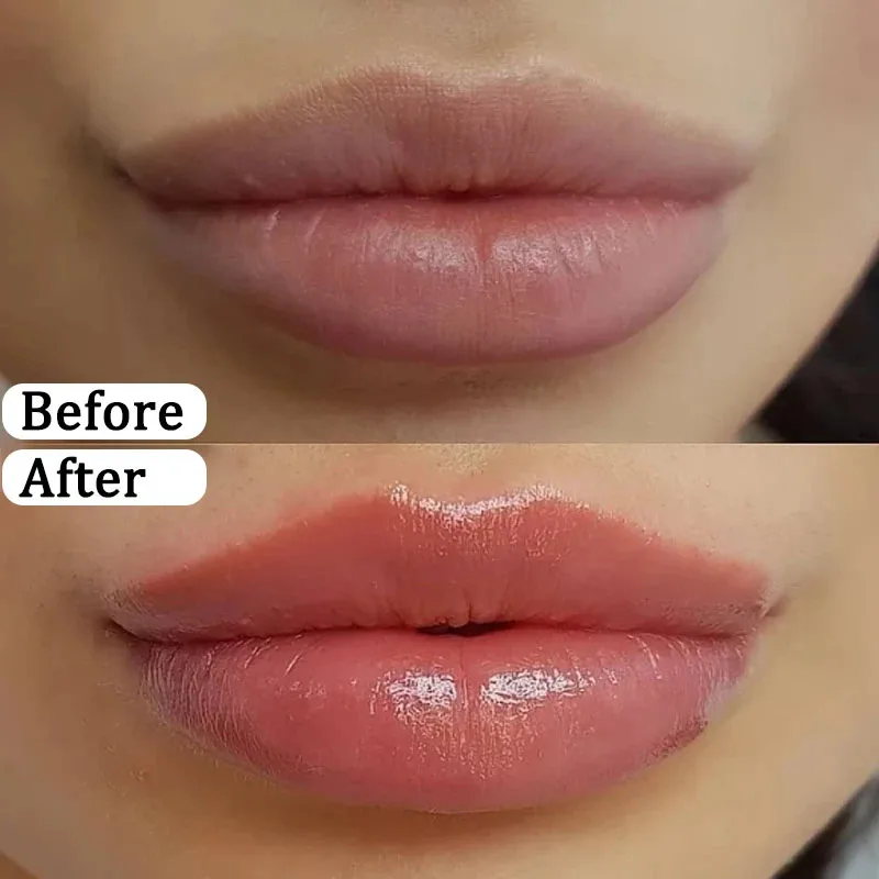 8 Pieces Set Lip Balm Moisturi - Luxury Skincare Korea 리뷰 및 가격